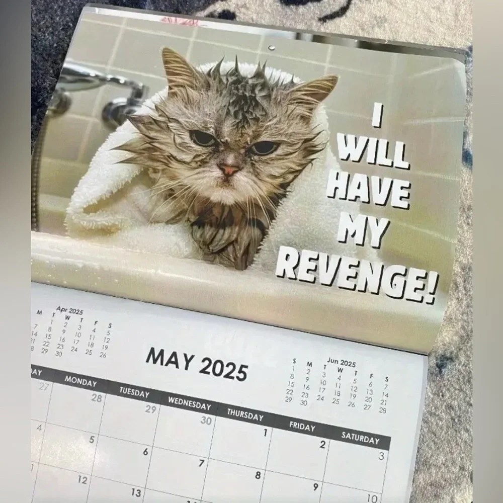 Pissed-Off Cats 2025 Calendar